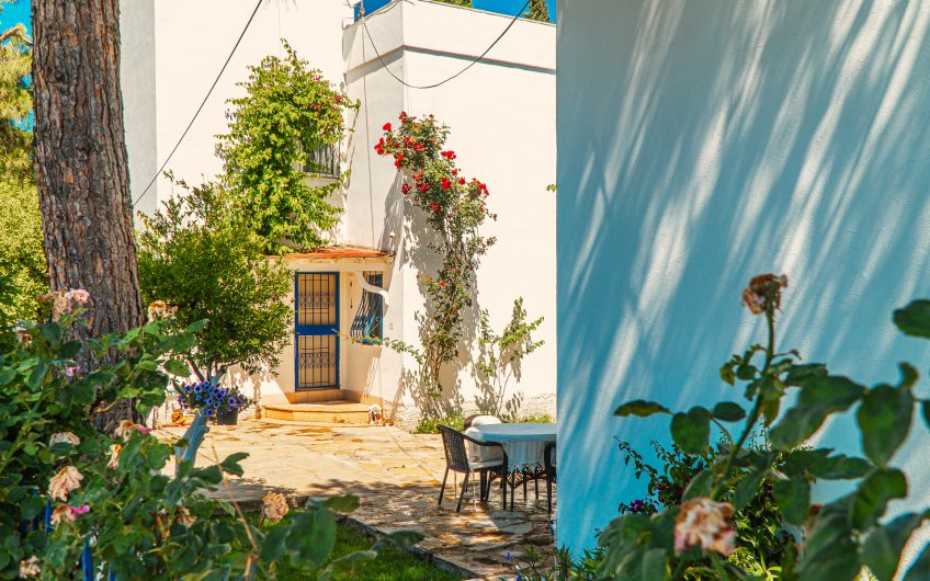 Bodrum Göltürkbükü Villa